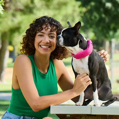 Halo Collar 5 GPS Dog Fence