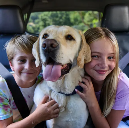 Halo Collar 5 GPS Dog Fence